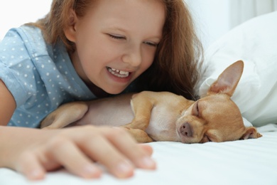 Little girl with her Chihuahua dog in bed. Childhood pet