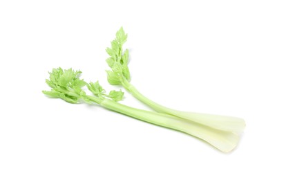 Photo of Fresh green celery stems isolated on white