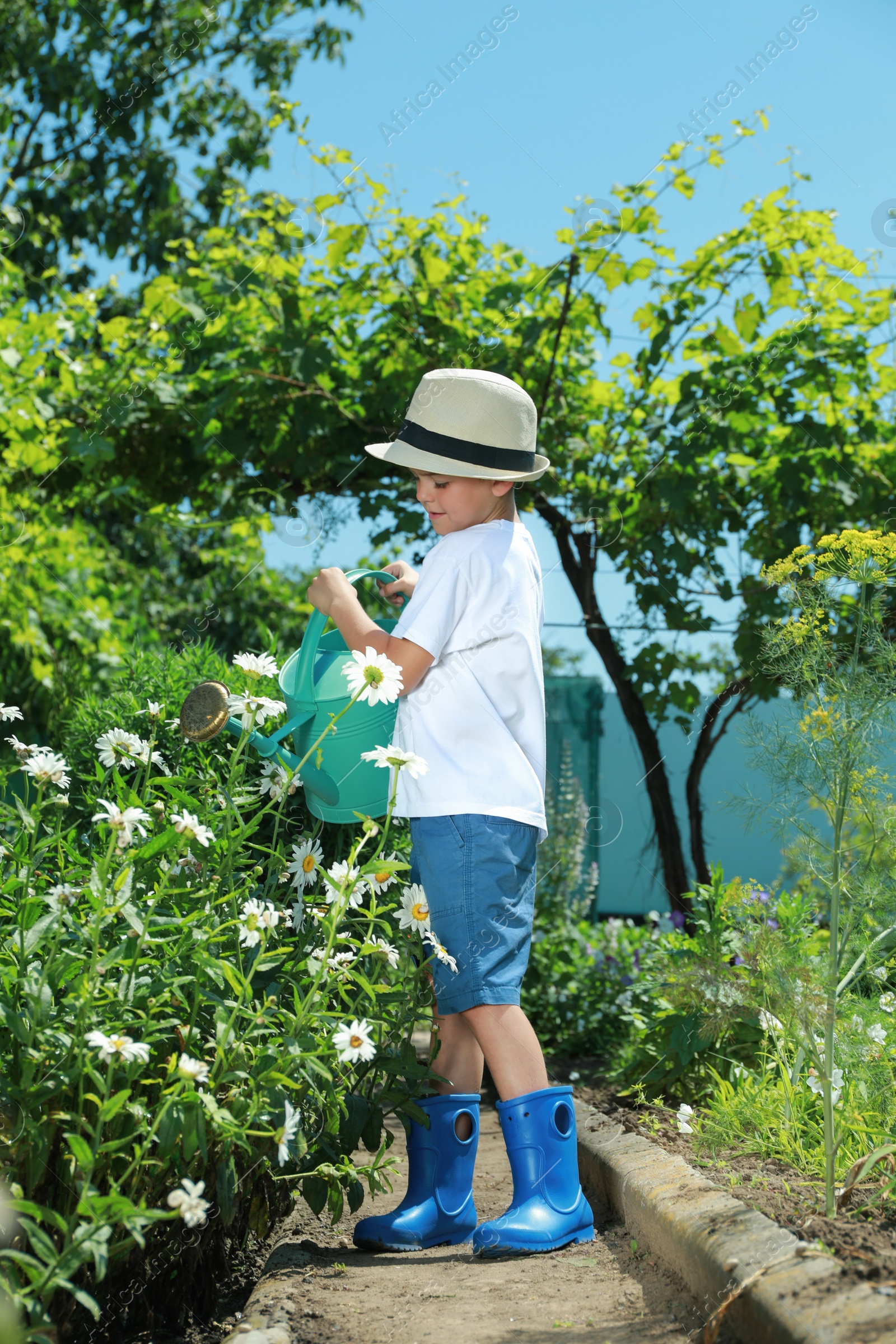 Photo of Little boy watering flowers in beautiful garden