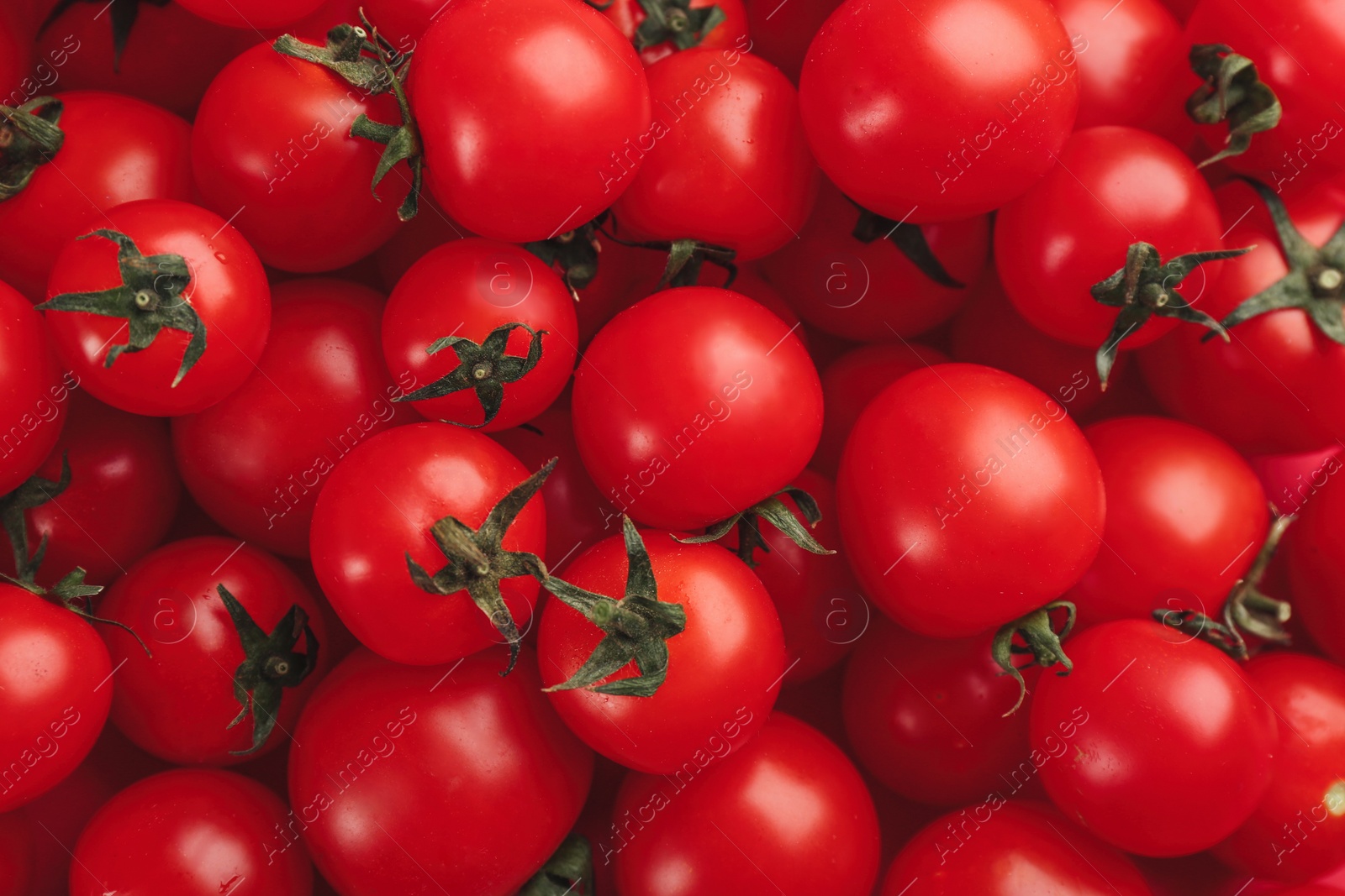 Photo of Many fresh cherry tomatoes as background, closeup