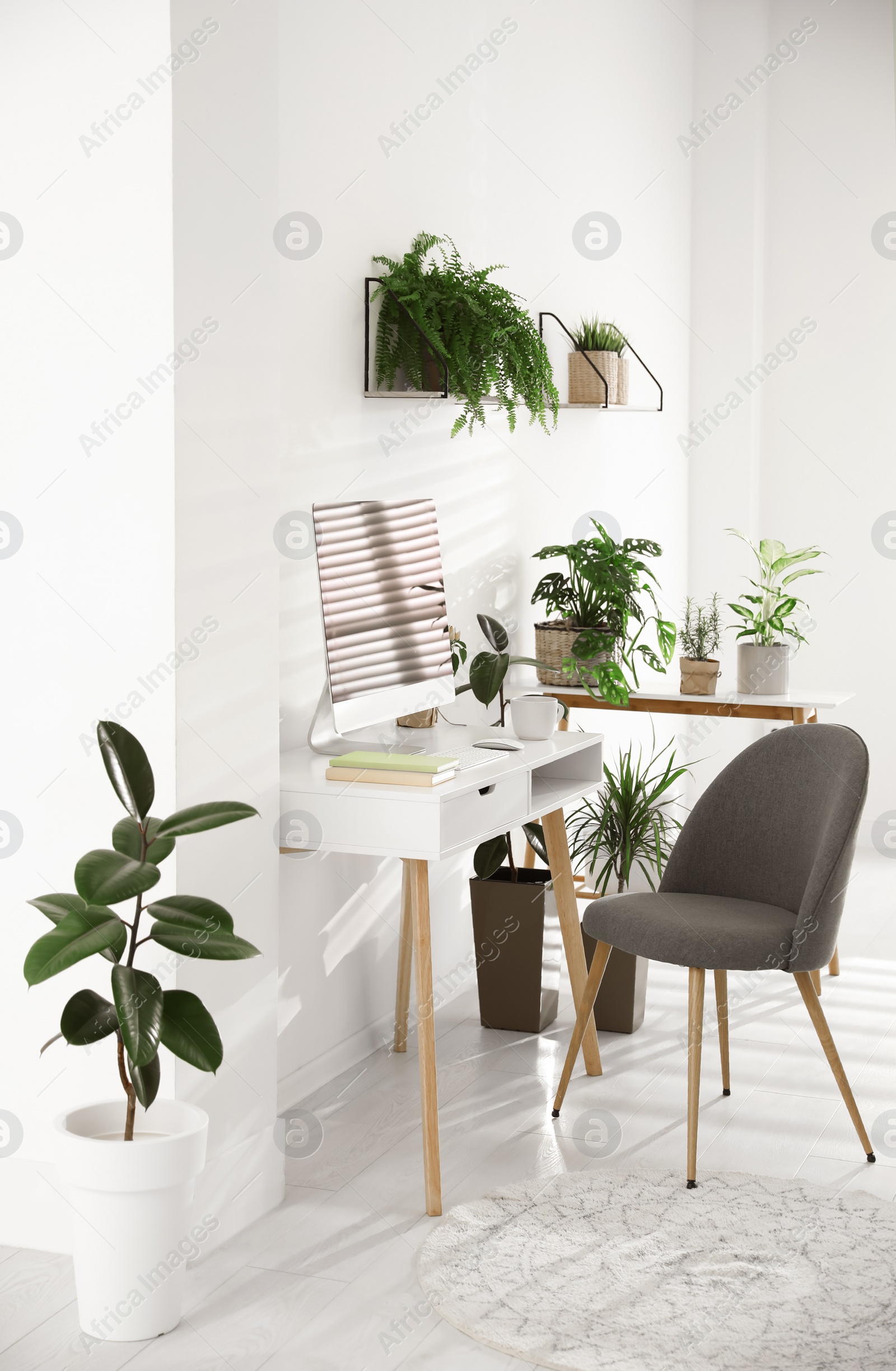 Photo of Modern workplace in room decorated with green potted plants. Home design