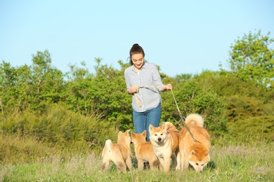 Photo of Young woman walking her adorable Akita Inu dogs in park