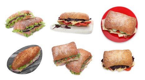 Image of Set with different delicious sandwiches on white background