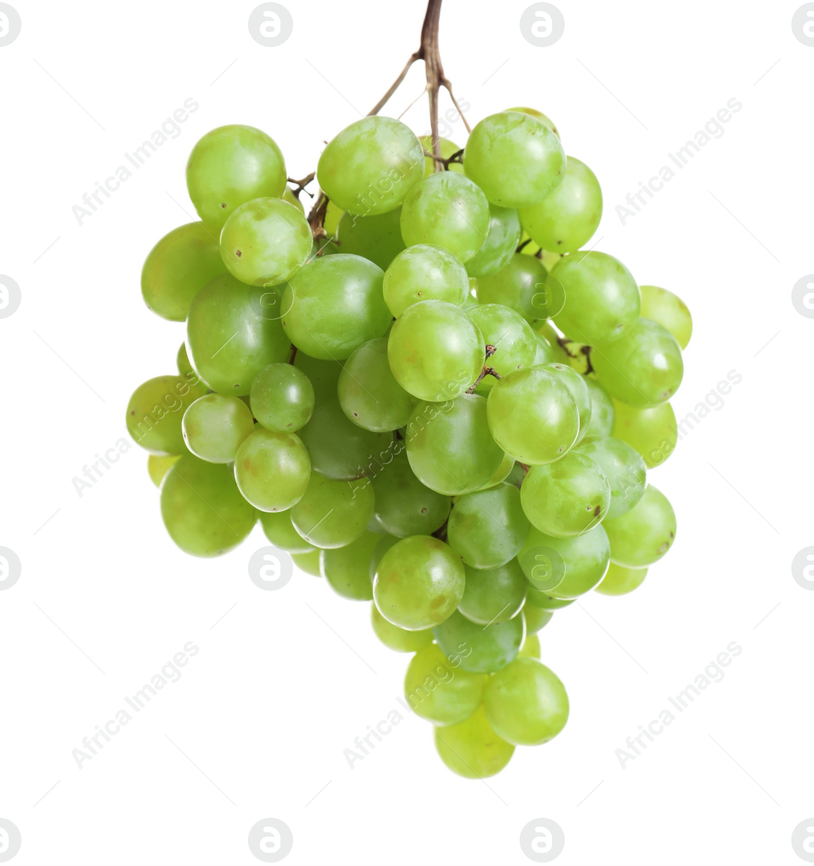 Photo of Bunch of fresh ripe juicy grapes on white background