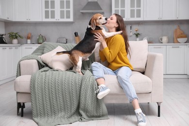 Beautiful young woman with her cute Beagle dog on couch at home. Lovely pet