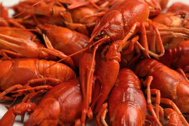 Photo of Delicious boiled crayfishes as background, closeup view