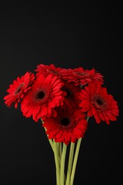 Bouquet of beautiful red gerbera flowers on black background