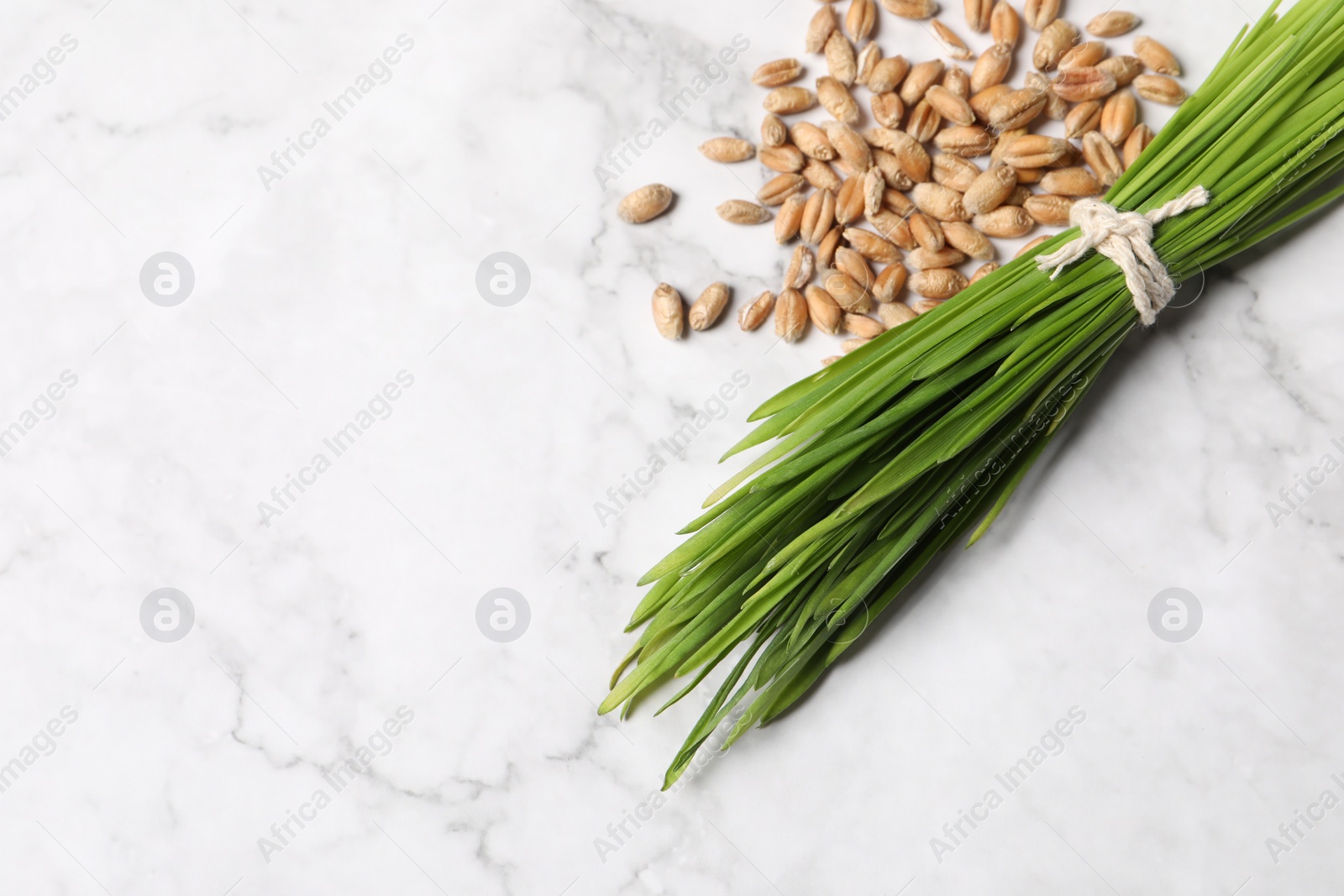 Photo of Sprouts of wheat grass and seeds on white marble table. Space for text