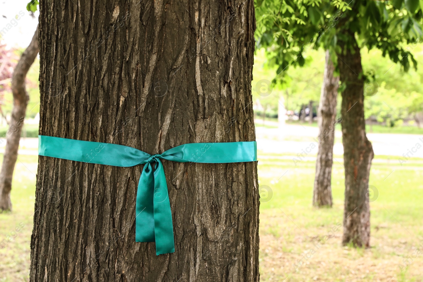 Photo of Teal awareness ribbon tied on tree in park, space for text