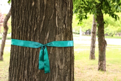 Photo of Teal awareness ribbon tied on tree in park, space for text