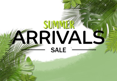 Image of Summer arrivals. Flyer design with green leaves and text on color background