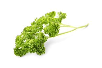 Photo of Fresh green curly parsley on white background