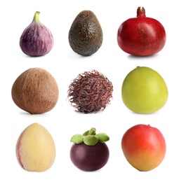 Image of Set with different tasty exotic fruits on white background