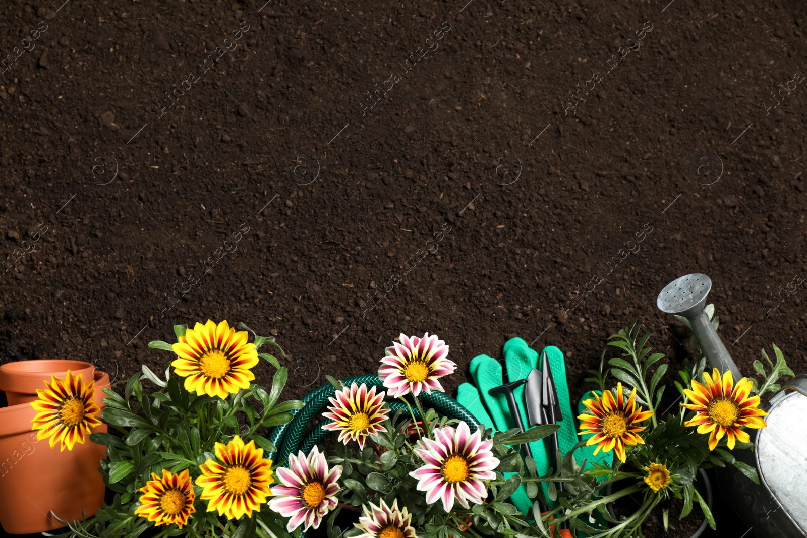 Photo of Flat lay composition with gardening equipment and flowers on soil, space for text