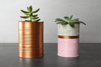 Photo of Echeveria plants in color tin cans on grey stone table, closeup