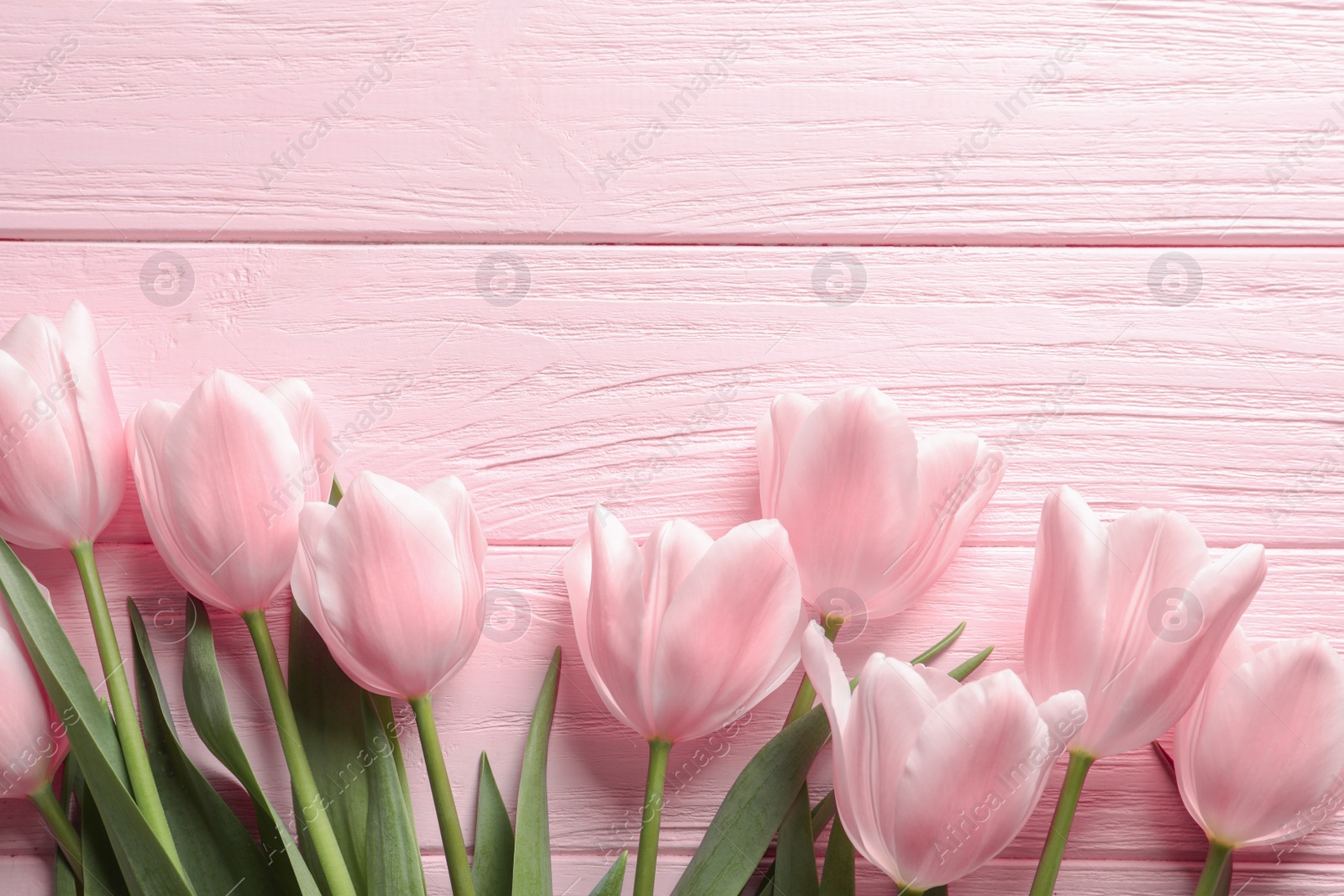 Photo of Beautiful tulips for Mother's Day on wooden background, top view