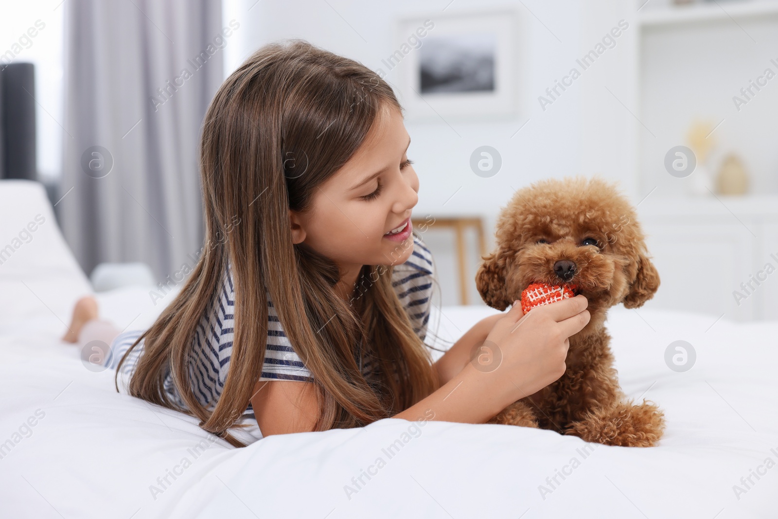 Photo of Little child playing with cute puppy on bed at home. Lovely pet