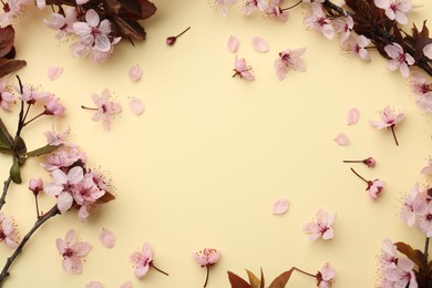 Photo of Spring tree branches with beautiful blossoms, flowers and petals on yellow background, flat lay. Space for text