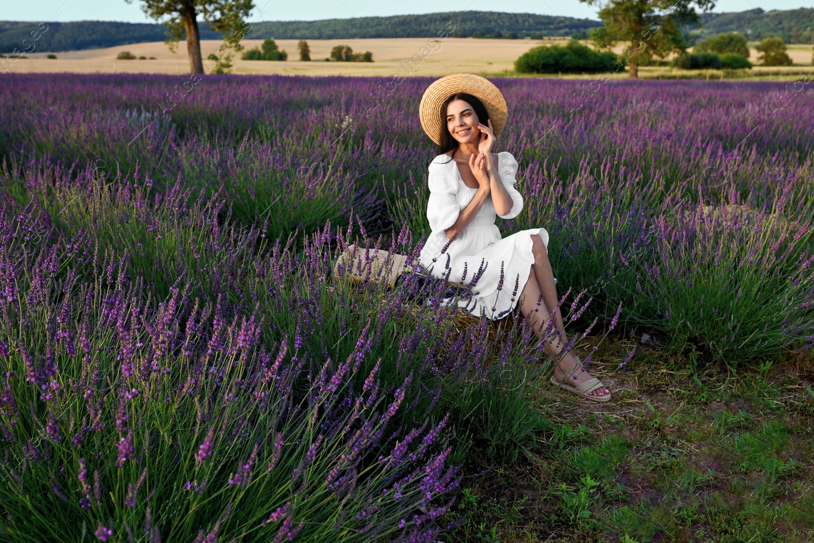 Photo of Beautiful young woman sitting in lavender field