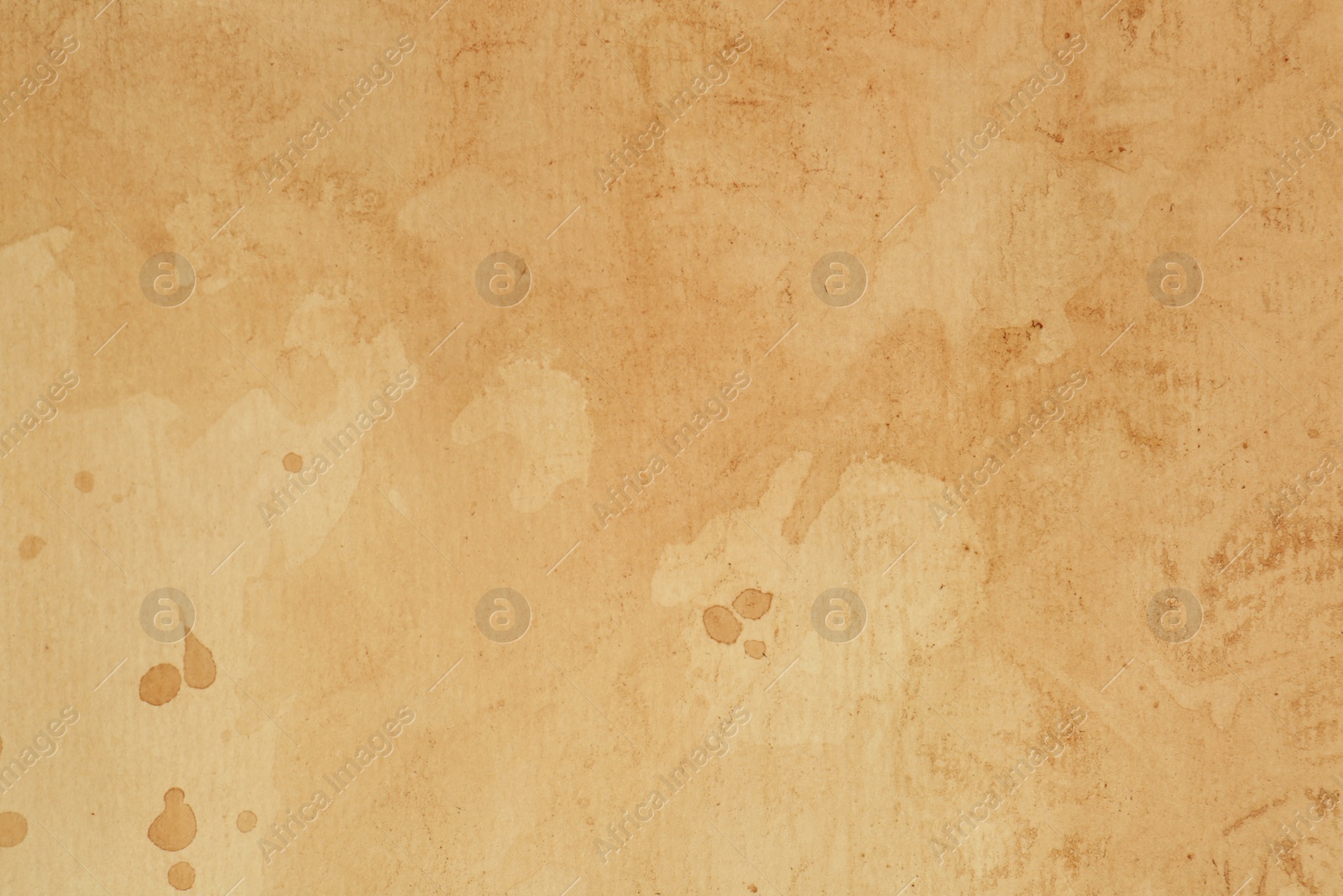 Photo of Sheet of parchment paper as background, top view