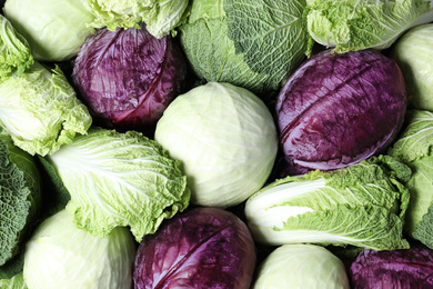 Photo of Different types of cabbage as background, top view