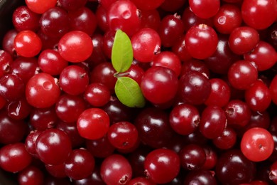 Fresh ripe cranberries and leaves as background, top view