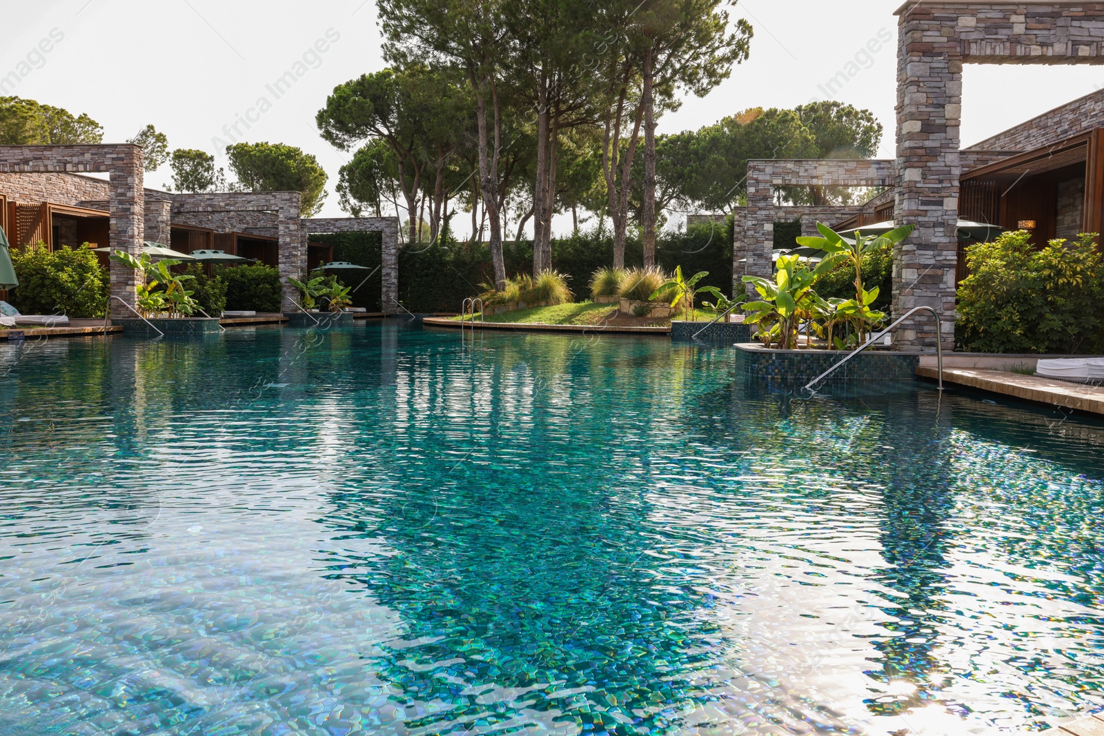 Photo of Swimming pool and exotic plants at luxury resort