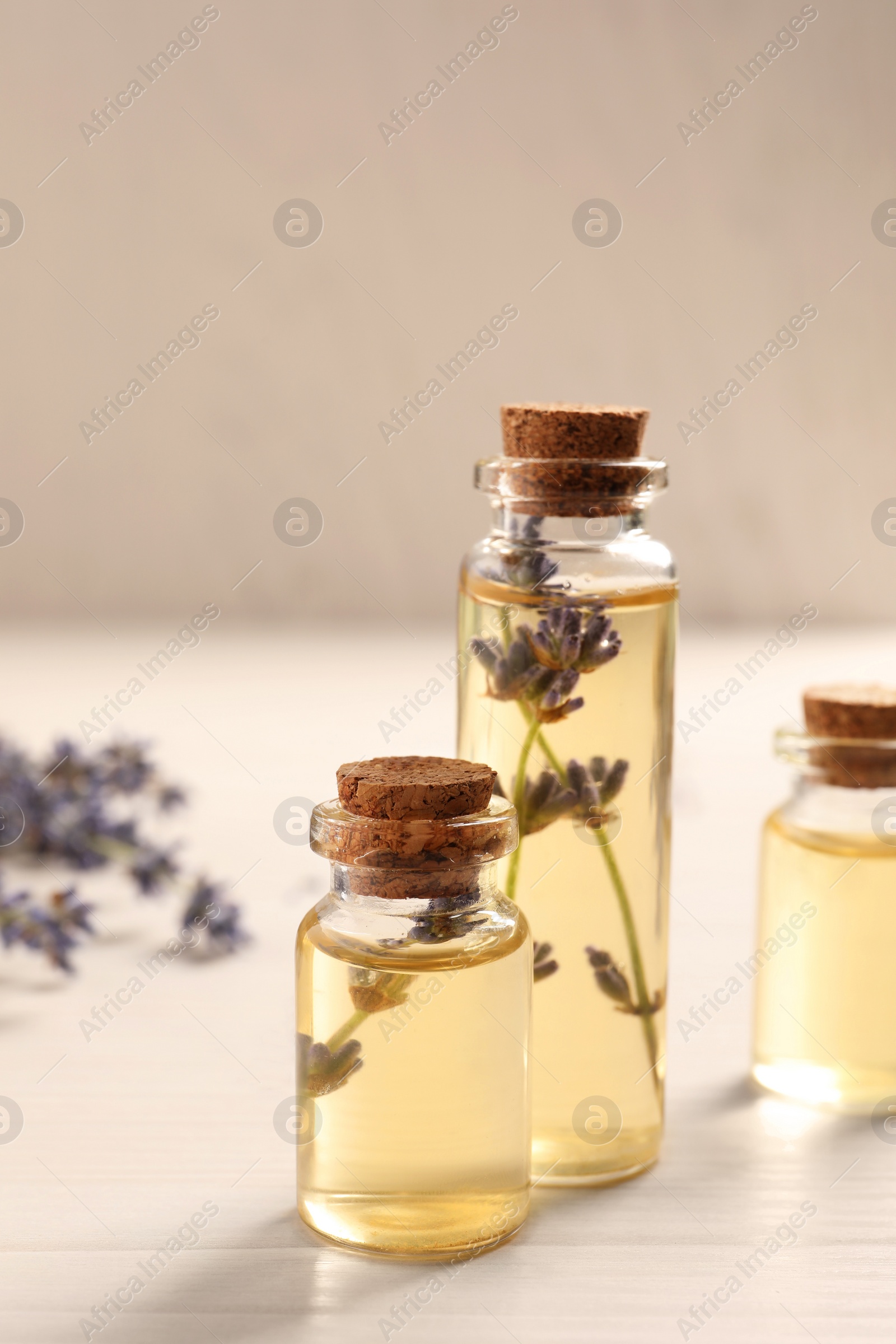 Photo of Essential oil and lavender flowers on white wooden table, closeup