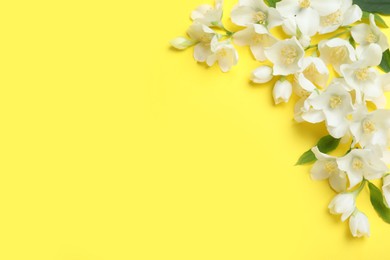 Photo of Beautiful jasmine flowers on yellow background, flat lay. Space for text