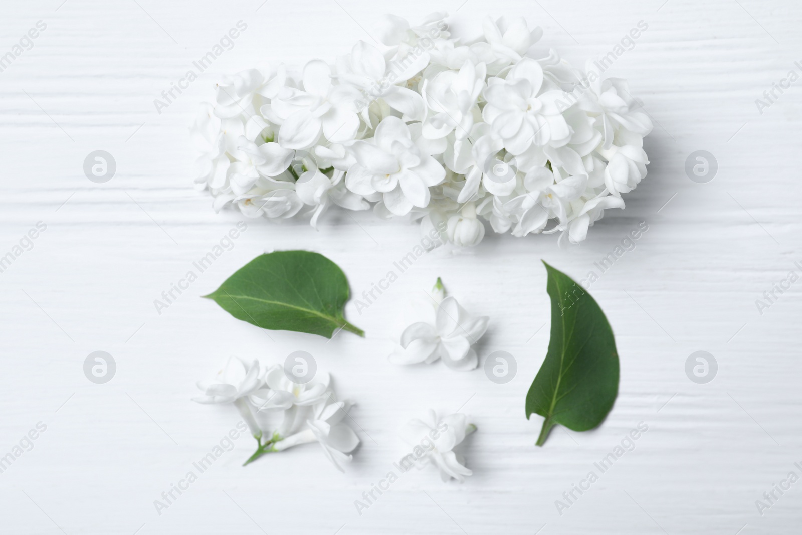 Photo of Flat lay composition with beautiful lilac blossom on white wooden background