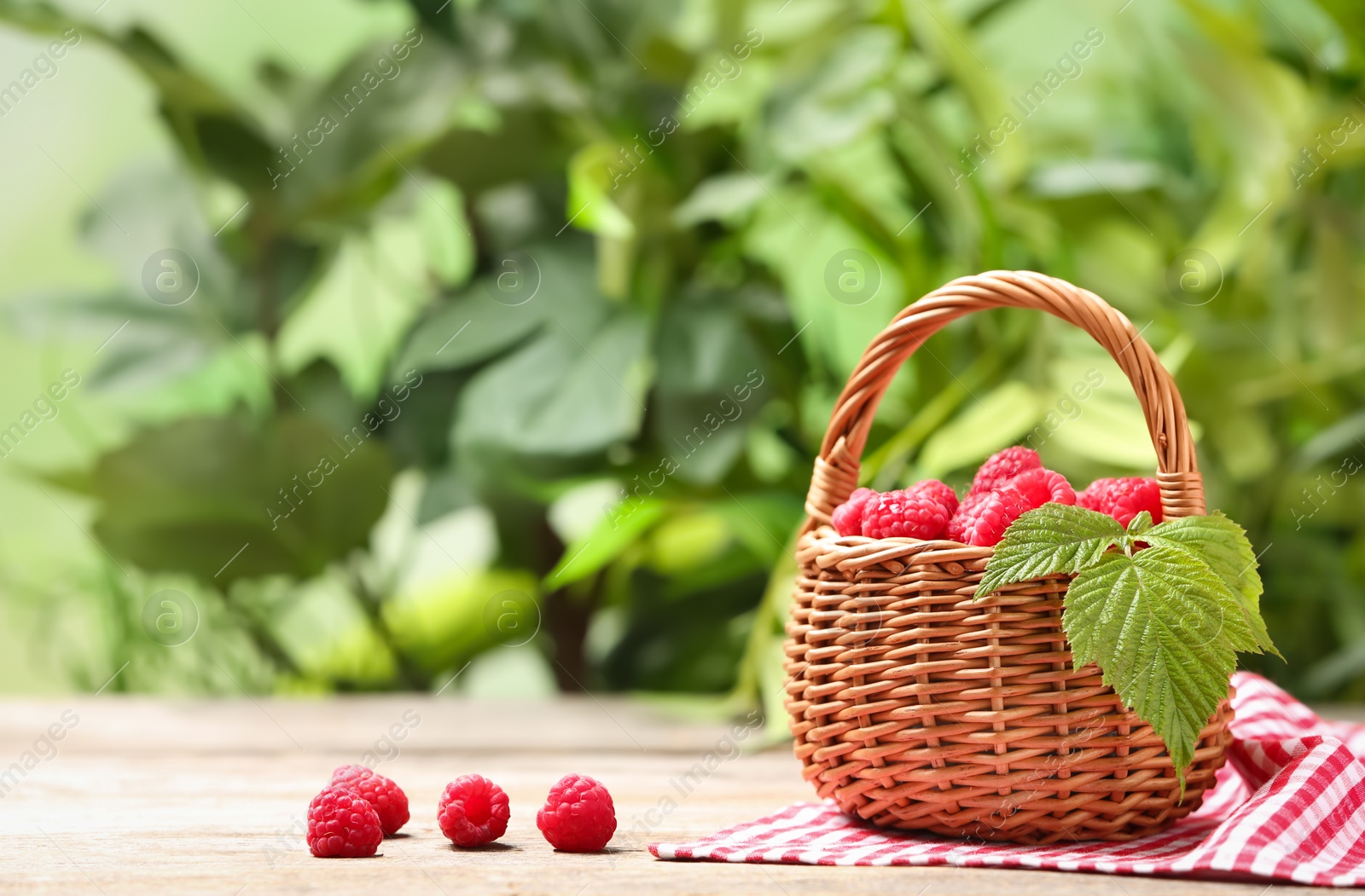 Photo of Wicker basket with ripe aromatic raspberries on table against blurred background