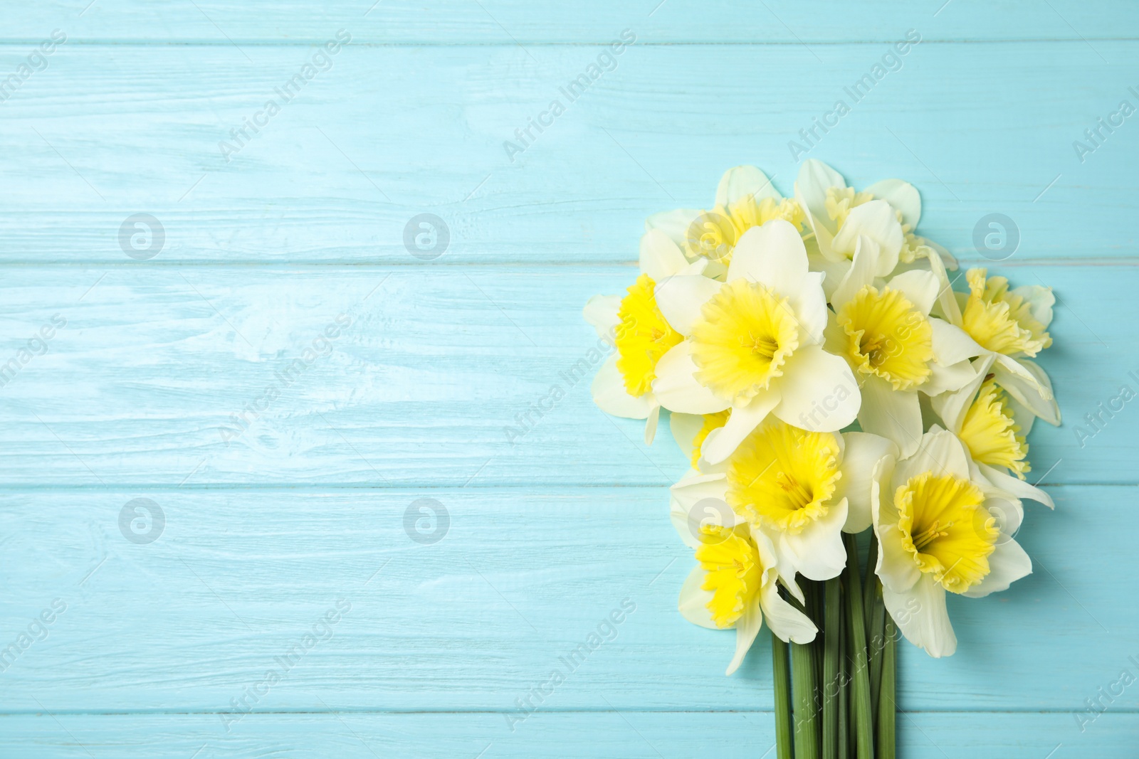 Photo of Bouquet of daffodils on wooden background, top view with space for text. Fresh spring flowers