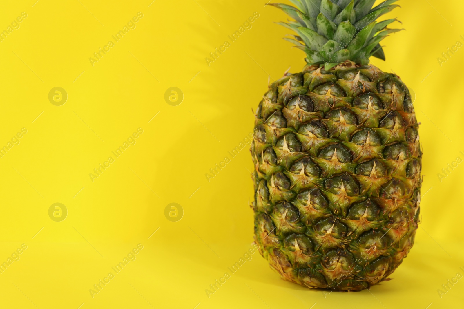 Photo of Whole ripe pineapple on yellow background, closeup with space for text