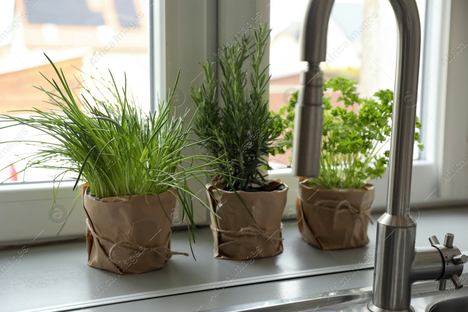 Photo of Different aromatic potted herbs on window sill near kitchen sink