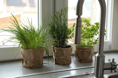 Photo of Different aromatic potted herbs on window sill near kitchen sink