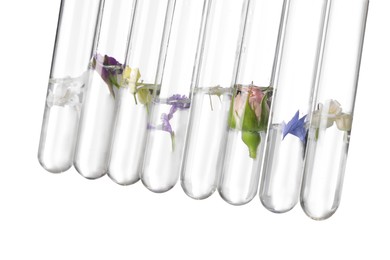 Photo of Test tubes with different flowers on white background. Essential oil extraction