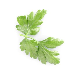 Photo of Sprig of fresh green parsley leaves isolated on white, top view