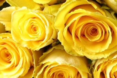 Photo of Beautiful bouquet of yellow roses as background, closeup