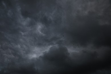 Photo of Picturesque view of birds in sky with heavy rainy clouds