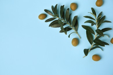 Photo of Fresh olives and green leaves on light blue background, flat lay. Space for text