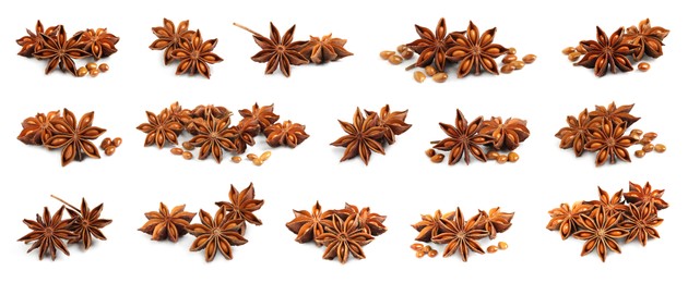 Image of Set with dry anise anise stars on white background. Banner design