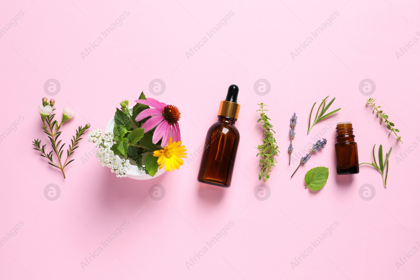 Photo of Bottles of essential oils, different herbs and flowers on pink background, flat lay