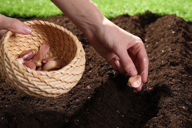 Photo of Woman planting garlic cloves into fertile soil outdoors, closeup