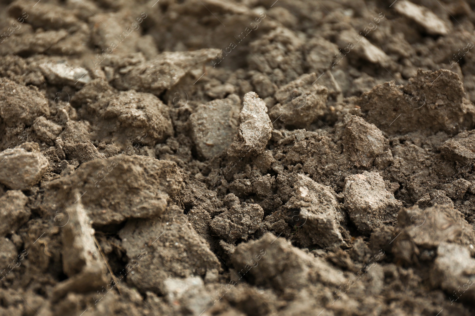 Photo of Textured ground surface as background, closeup. Fertile soil for farming and gardening