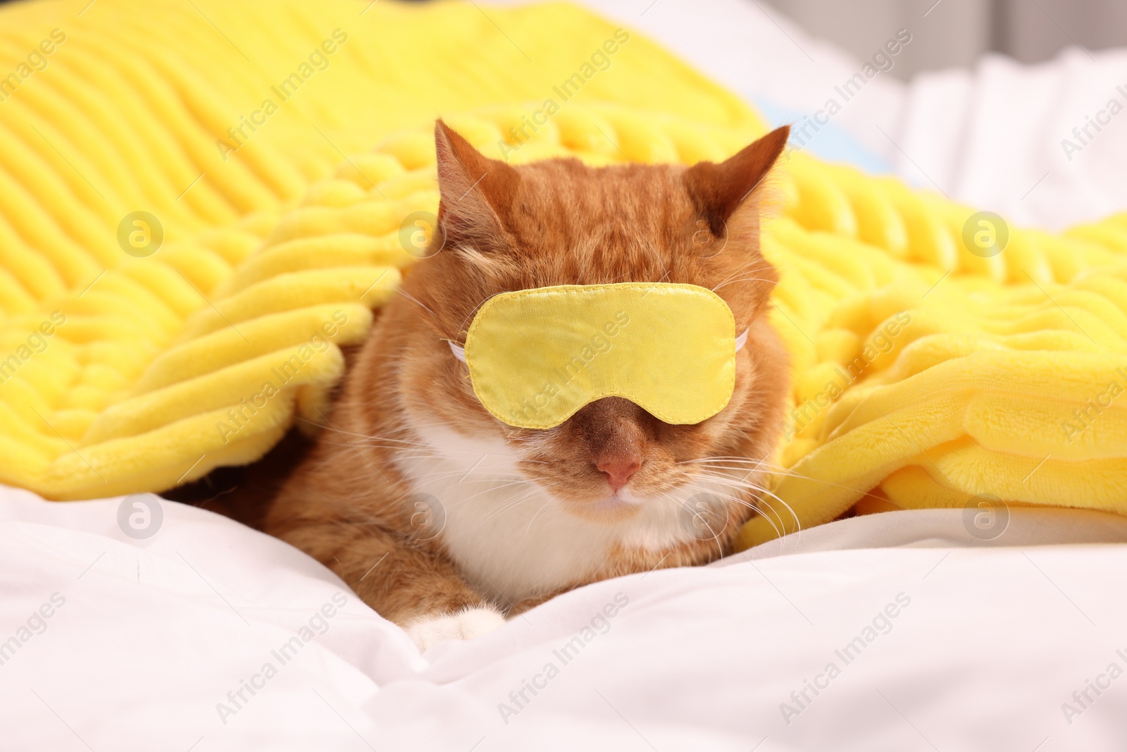 Photo of Cute ginger cat with sleep mask resting on bed