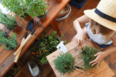 Photo of Young woman taking care of home plants at wooden table in shop, above view