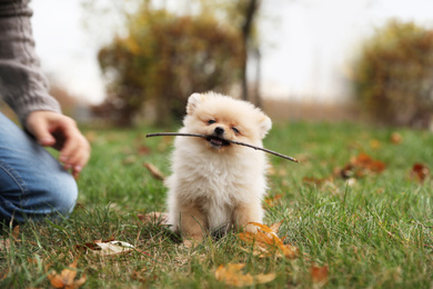 Photo of Man with small fluffy dog in park on autumn day, closeup