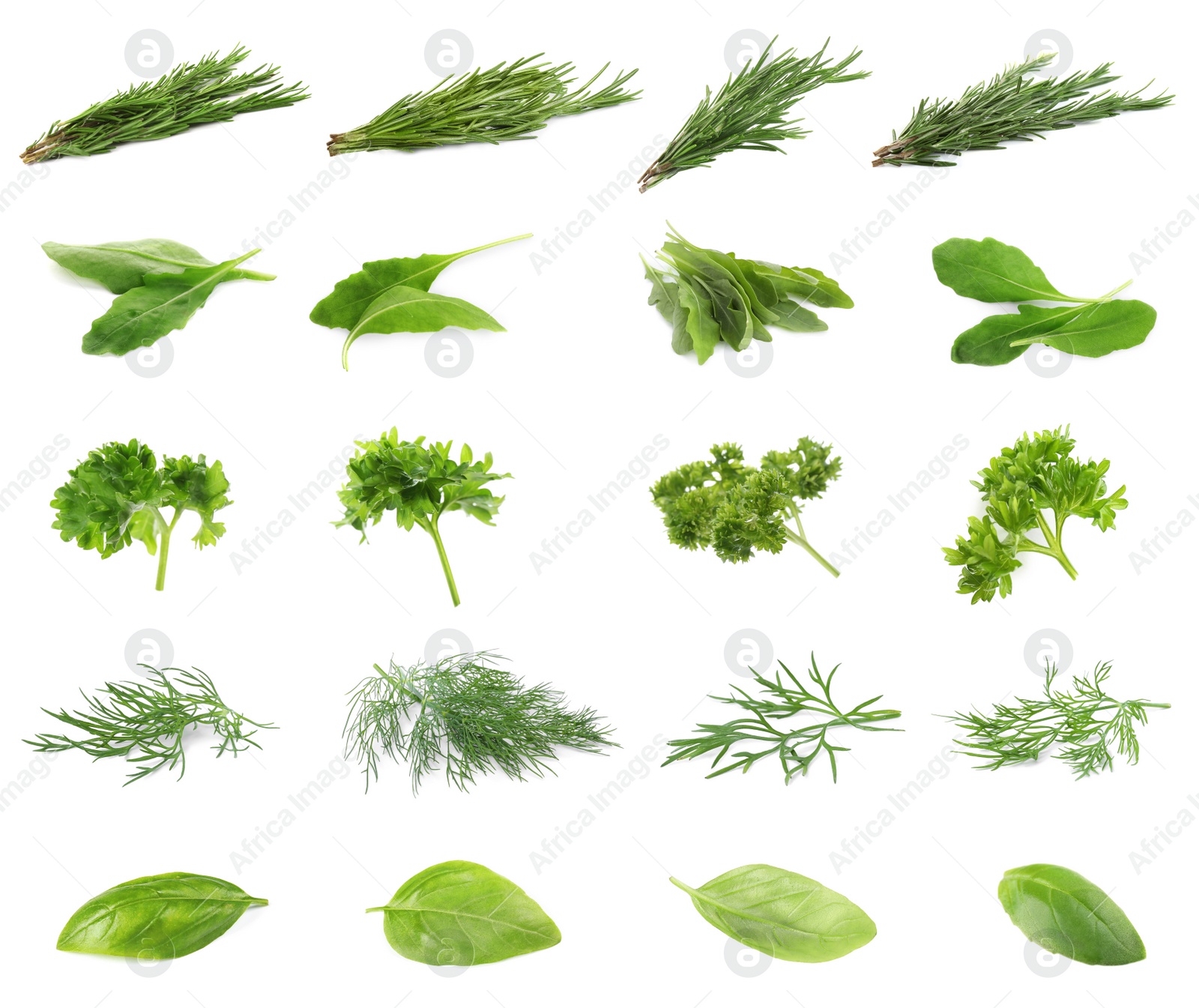 Image of Set with different herbs on white background