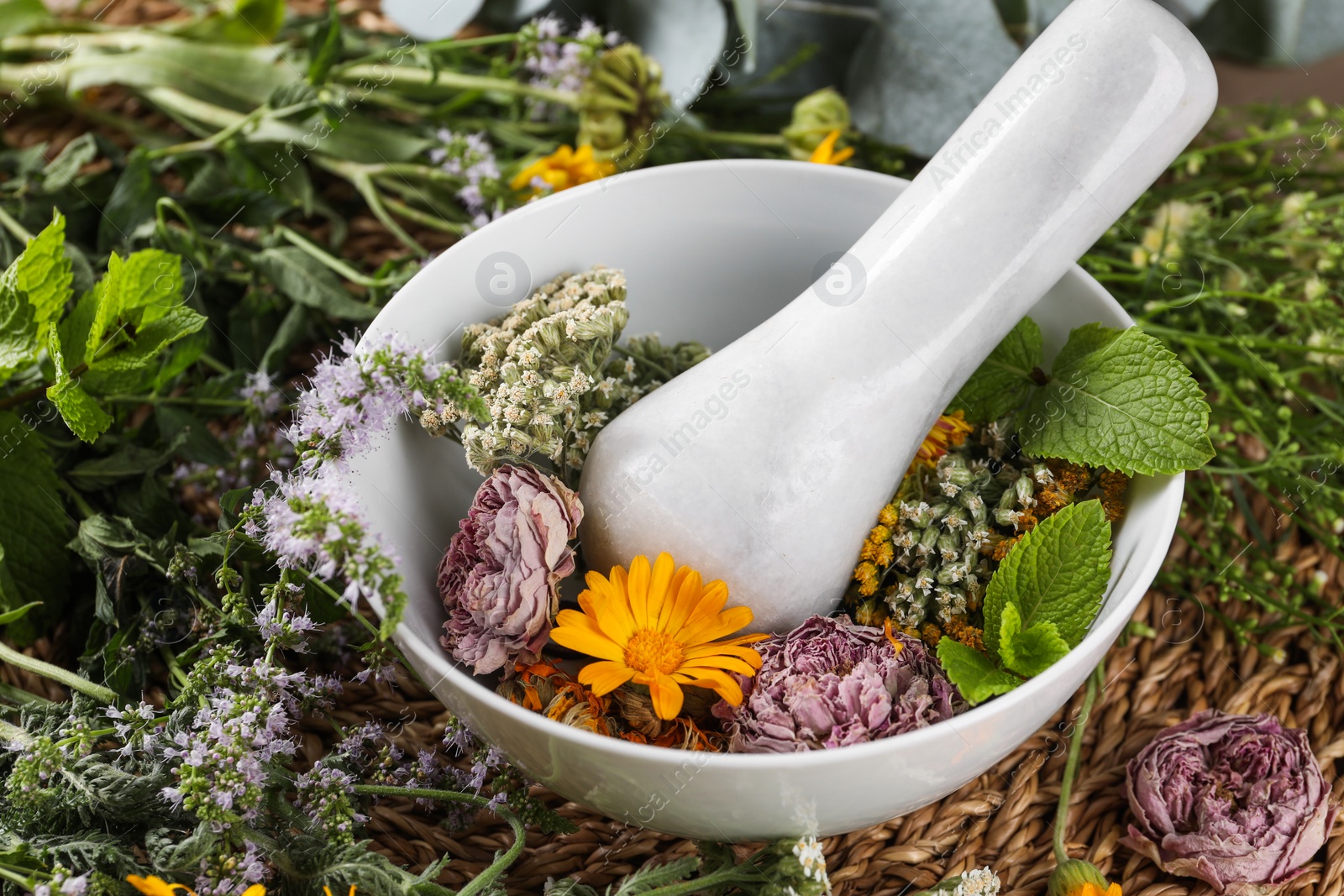 Photo of Mortar with pestle and many different herbs on table, closeup