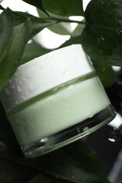 Jar of organic cream among green leaves with water drops